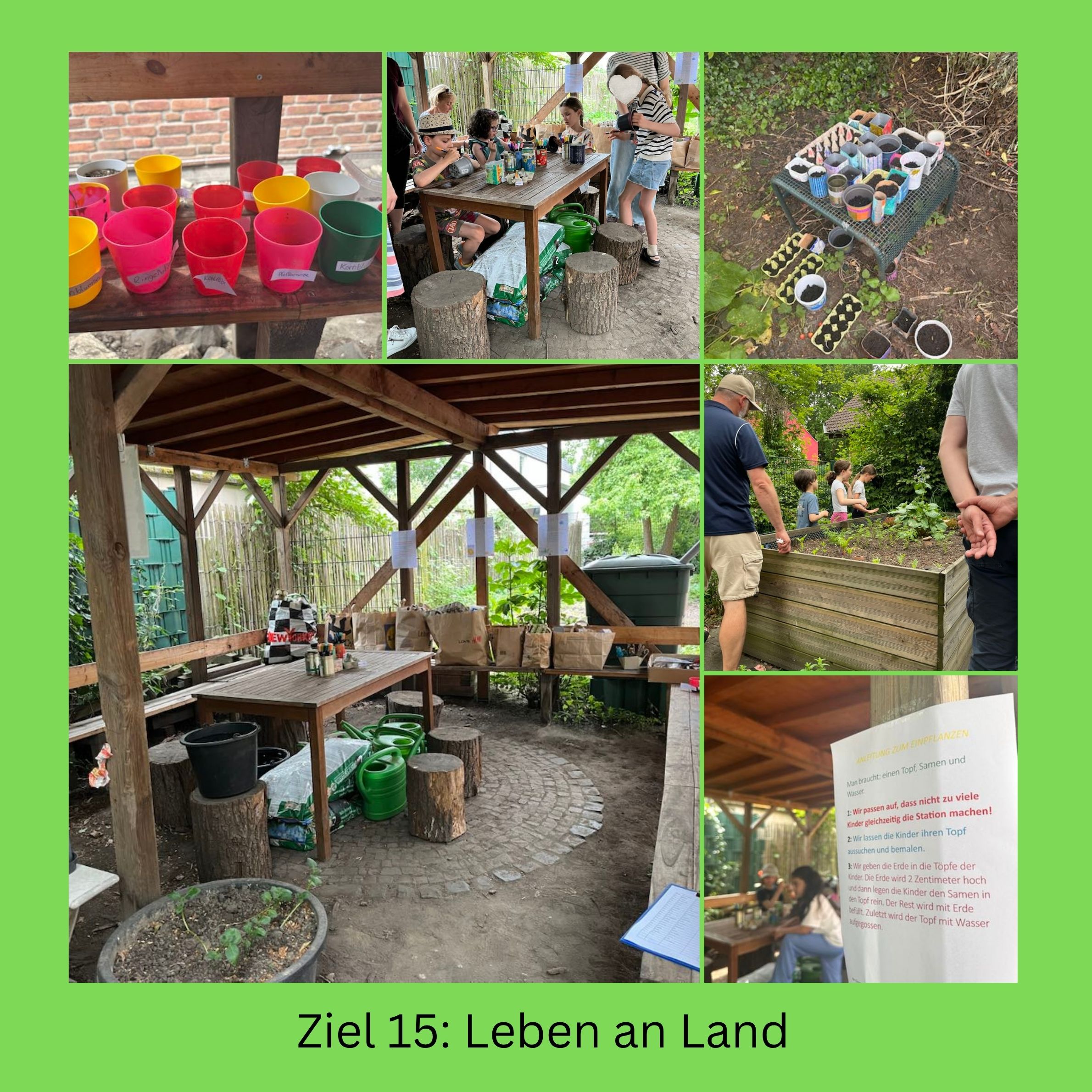 Schulfest BNE 15